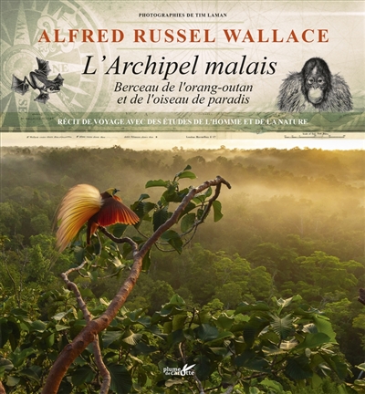 L’archipel malais : berceau de l’orang-outan et de l’oiseau de paradis : récit de voyage avec des études de l’homme et de la nature
